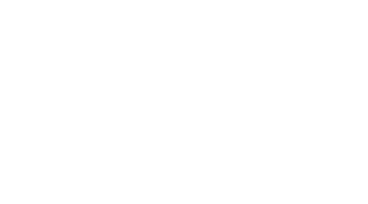 World Snowboard Foundation Logo